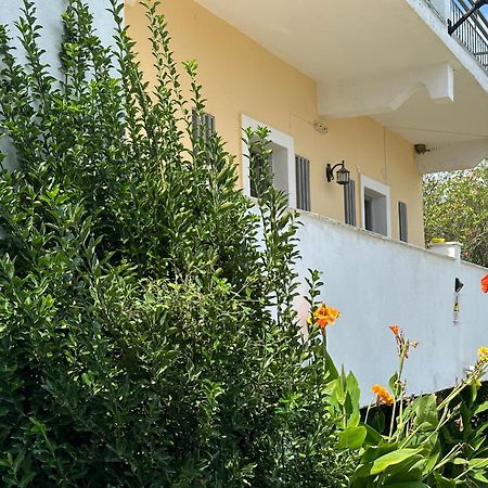 Full House Kavos Hotel Bagian luar foto
